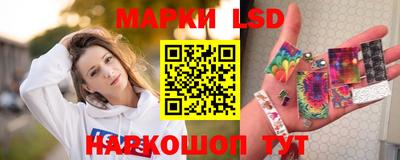 мяу мяу мука Кандалакша