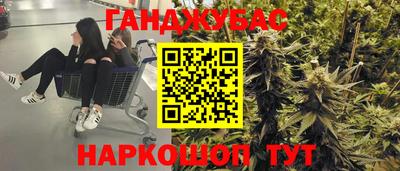мяу мяу мука Кандалакша