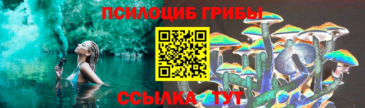 Галлюциногенные грибы Cubensis Ликино-Дулёво